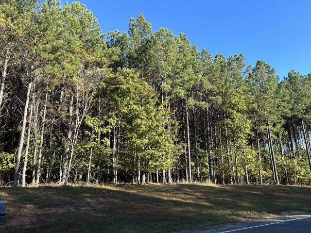 Land for sale in Tennessee