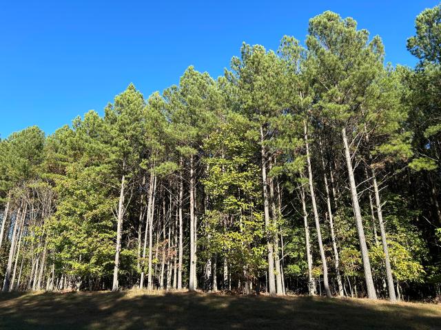 Land for sale in Tennessee