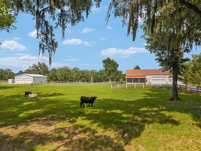 Farm for sale in Ocala, Marion County
