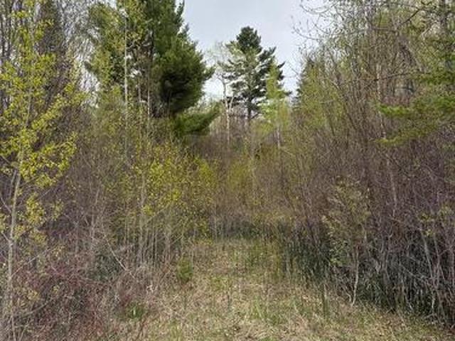 Land for sale in Edwardsburgh cardinal, Ontario