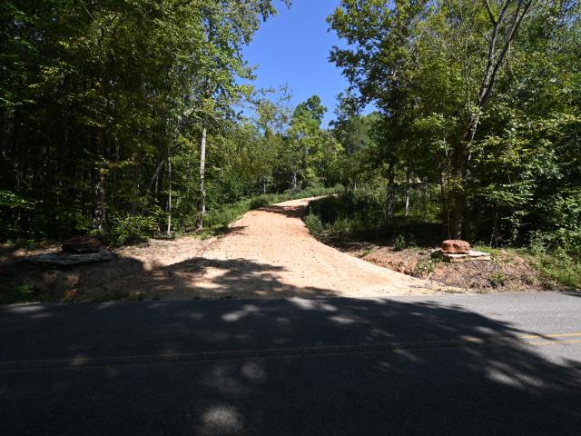 Land for sale in Linden, Middle Tennessee