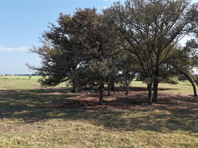 Farm for sale in Giddings, Texas