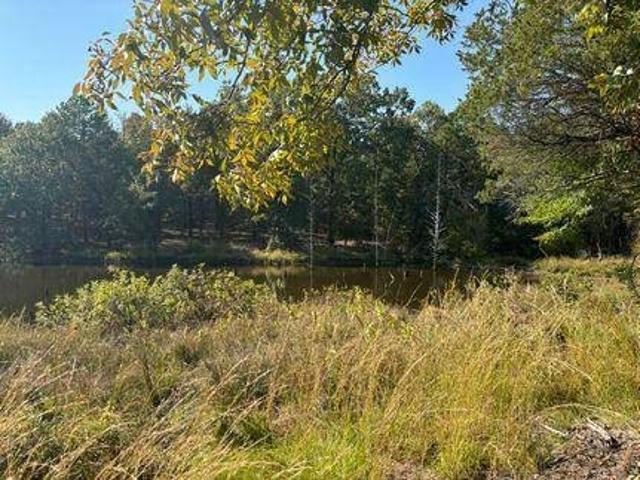 Land for sale in Rattan, Oklahoma