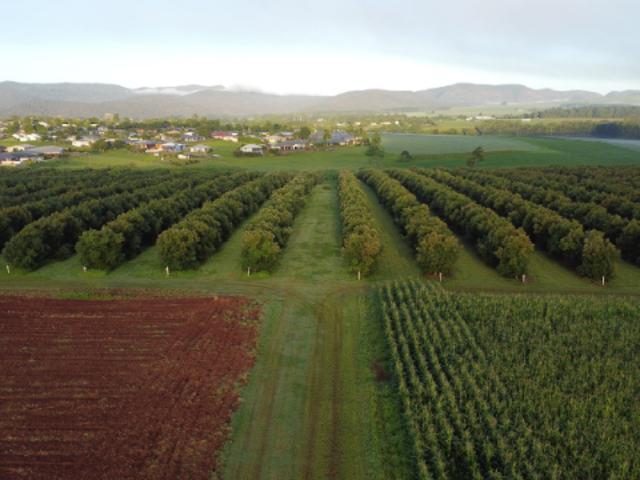 Property for sale in Tablelands, Queensland