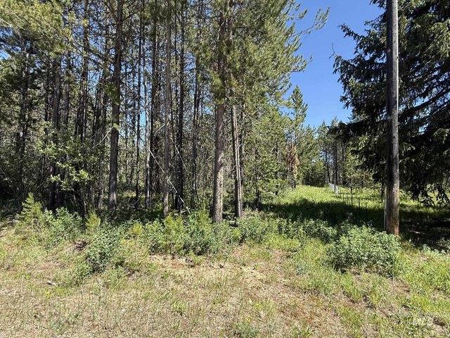 Land for sale in Donnelly, Idaho
