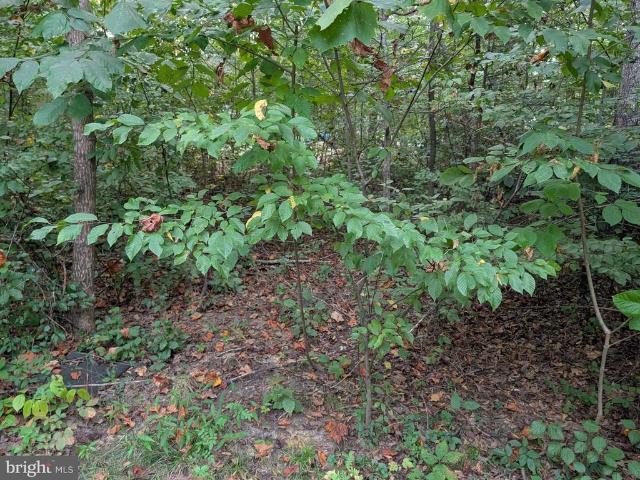 Land for sale in Virginia