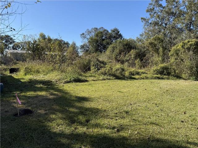 Land for sale in Belle Chasse, Louisiana