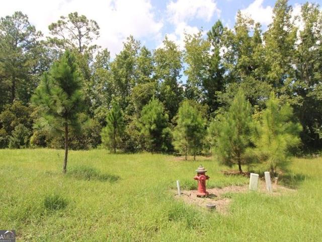 Land for sale in Glynn, Georgia