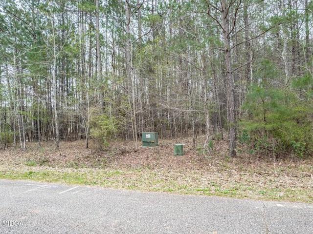 Land for sale in Gray, Georgia