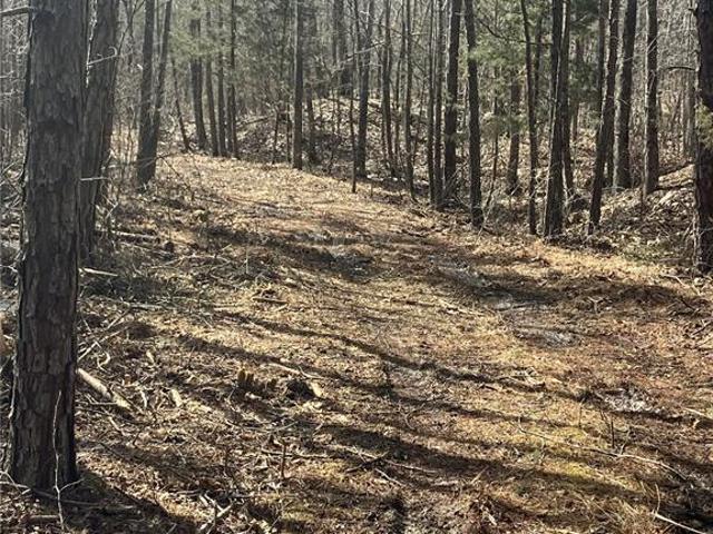 Property for sale in Fredericktown, Missouri