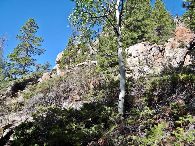 Land for sale in Colorado