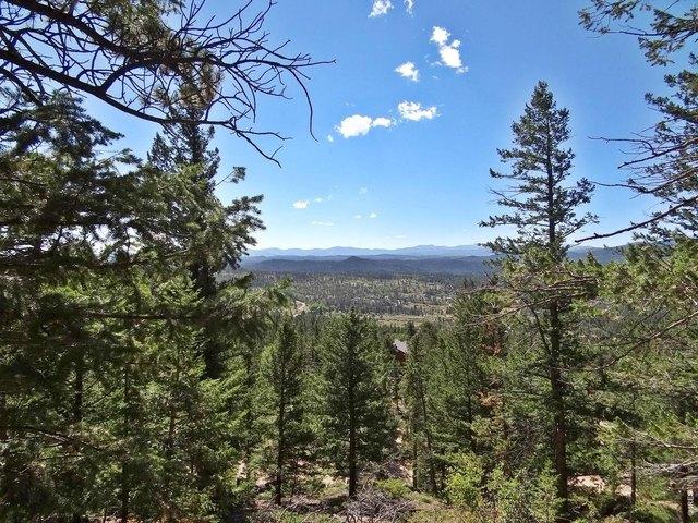 Land for sale in Red Feather Lakes, Colorado