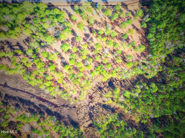 Land for sale in Aurora, North Carolina