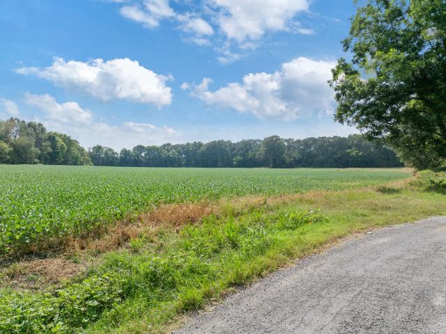 Farm for sale in Tennessee