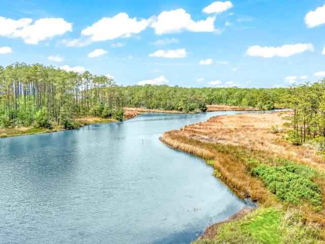 Land for sale in Oriental, North Carolina
