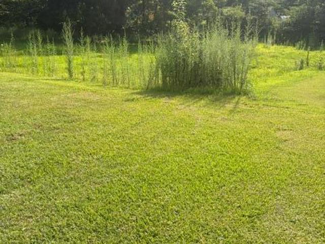 House for sale in Duck Hill, Mississippi