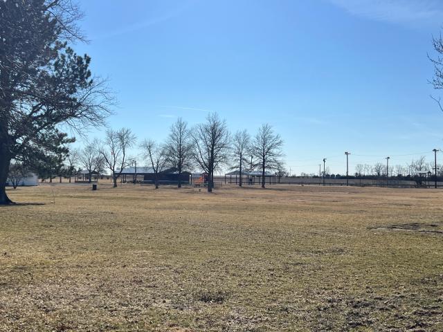 Land for sale in Vermilion, Illinois
