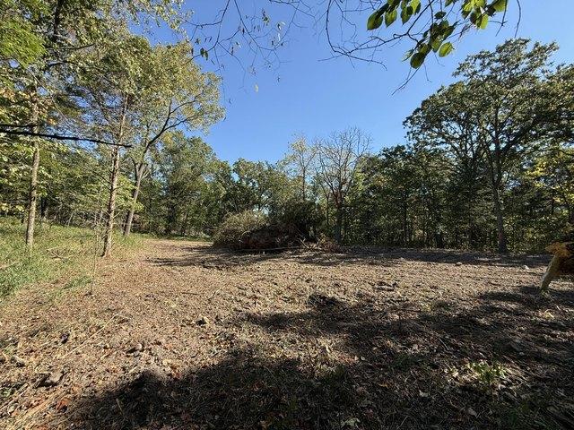Land for sale in Wheatland, Hickory County