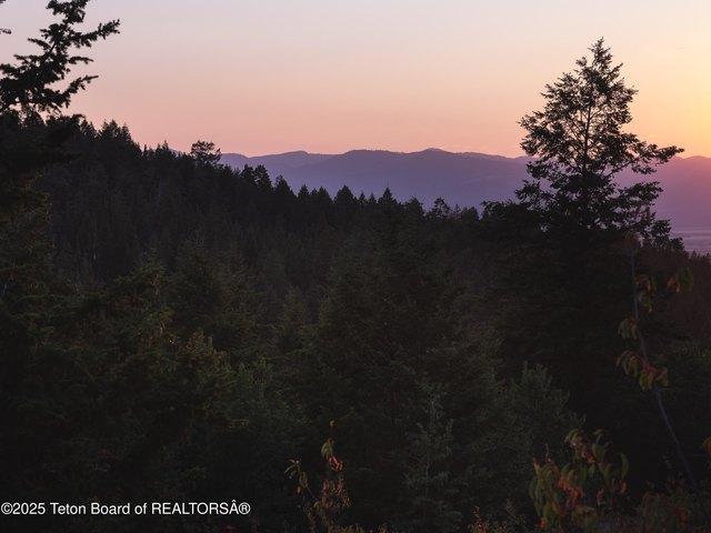Land for sale in Victor, Idaho