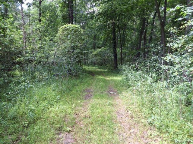 Commercial for sale in Michigan
