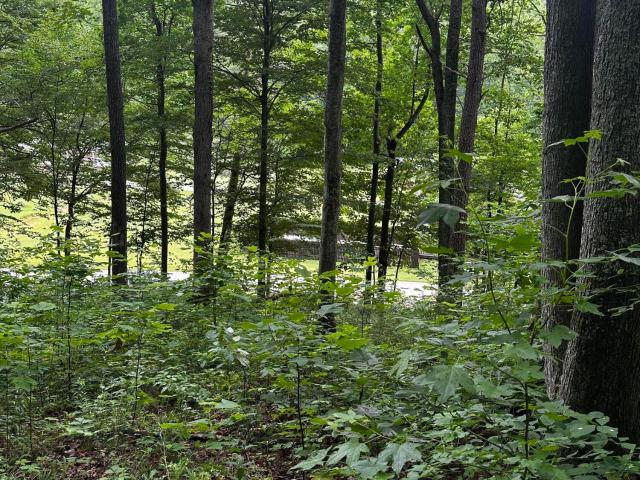 Land for sale in Powell, Kentucky