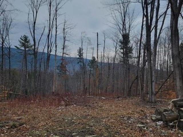 Land for sale in Bennington, Vermont