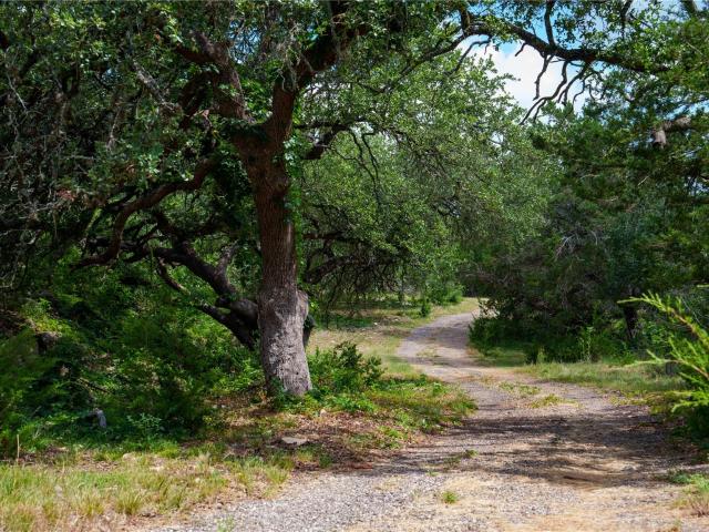 Farm for sale in Hays, Texas