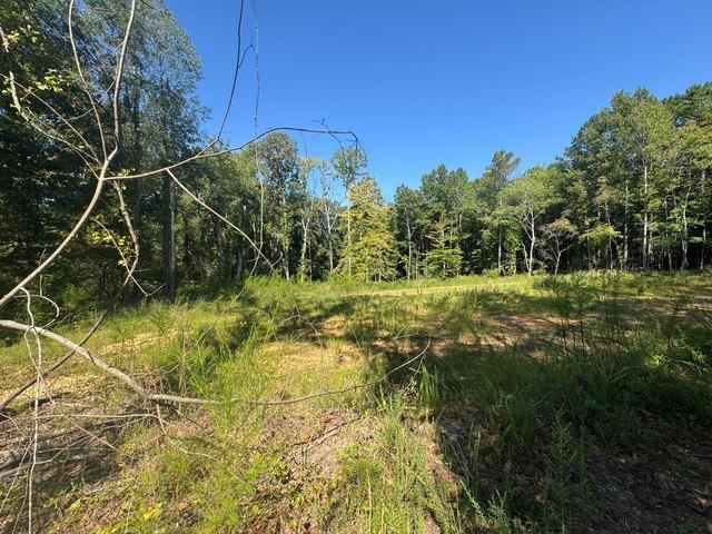 Land for sale in Hamilton, Alabama