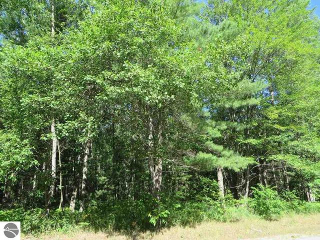 Land for sale in Michigan