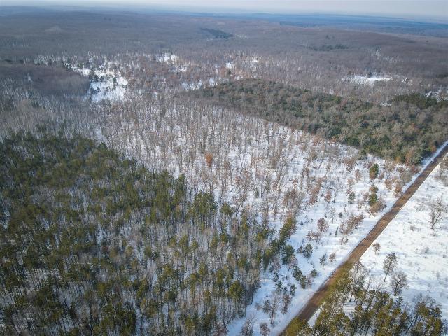 Land for sale in Irons, Michigan