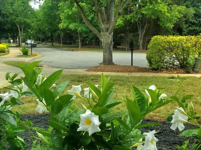 House for sale in Mecklenburg, North Carolina