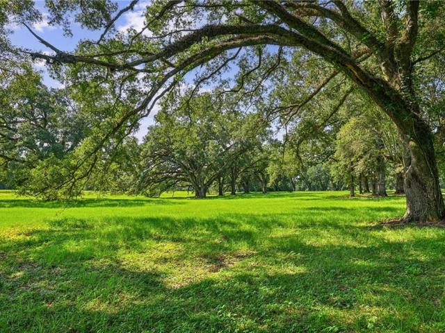 Land for sale in Covington, St. Tammany Parish