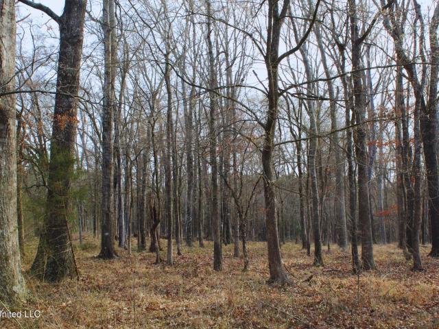 Land for sale in Crystal Springs, Mississippi
