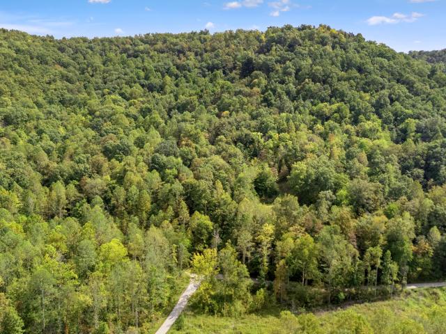 Land for sale in Powell, Kentucky