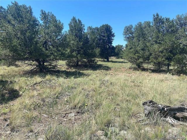 Land for sale in Crestone