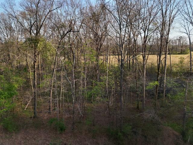 Land for sale in Tennessee