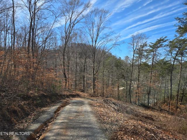Land for sale in Tennessee