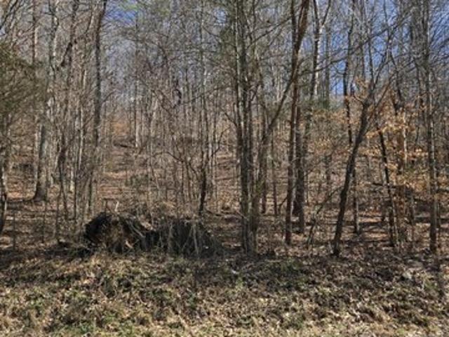 Land for sale in Tennessee