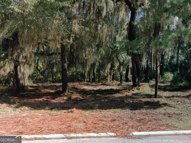 Land for sale in Georgia