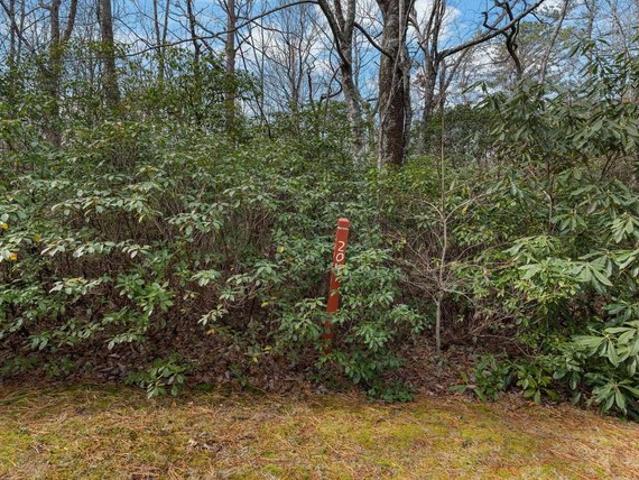 Land for sale in South Carolina