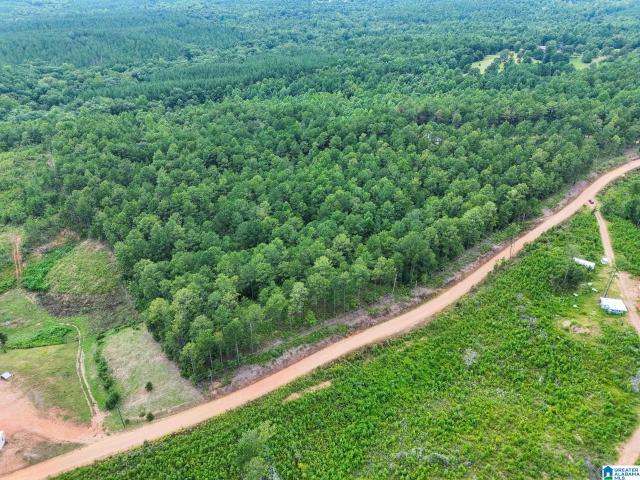 Land for sale in Clanton, Alabama