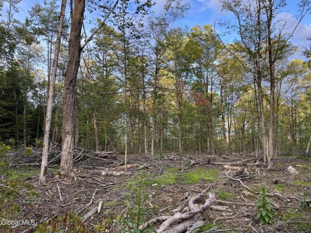 Land for sale in Grafton, New York