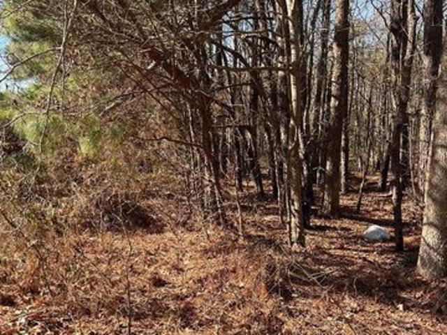 Land for sale in Wake, North Carolina