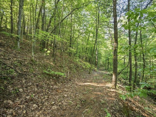 Land for sale in Tennessee