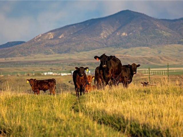 Farm for sale in Lewistown, Montana