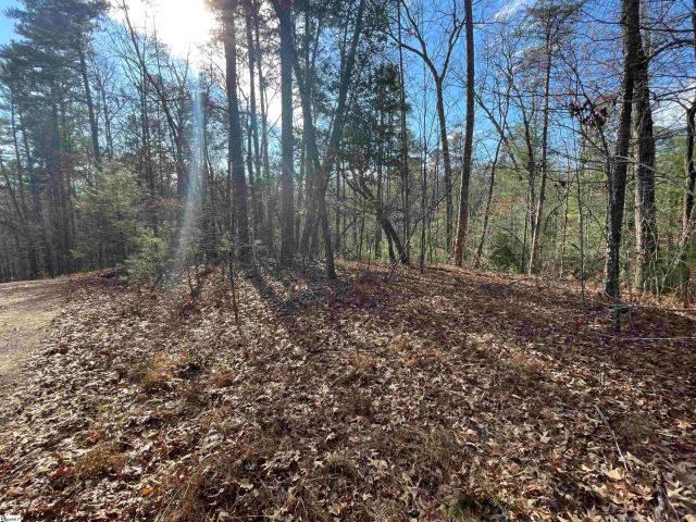 Land for sale in Salem, South Carolina