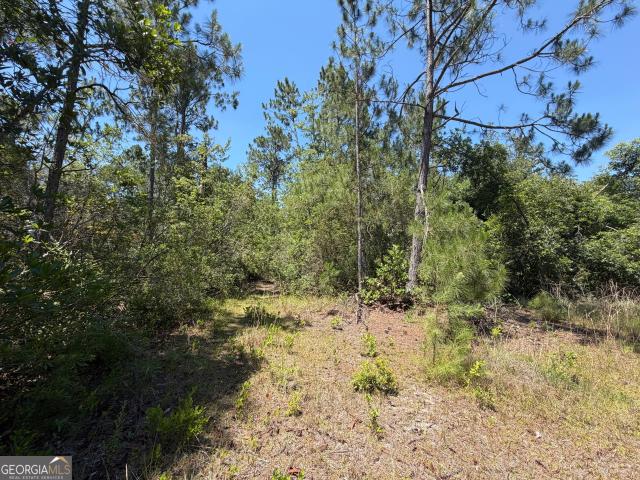 Land for sale in Hazlehurst, Georgia