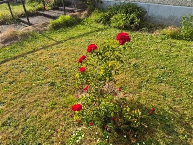 Detached House for sale in Carlow, North Tipperary