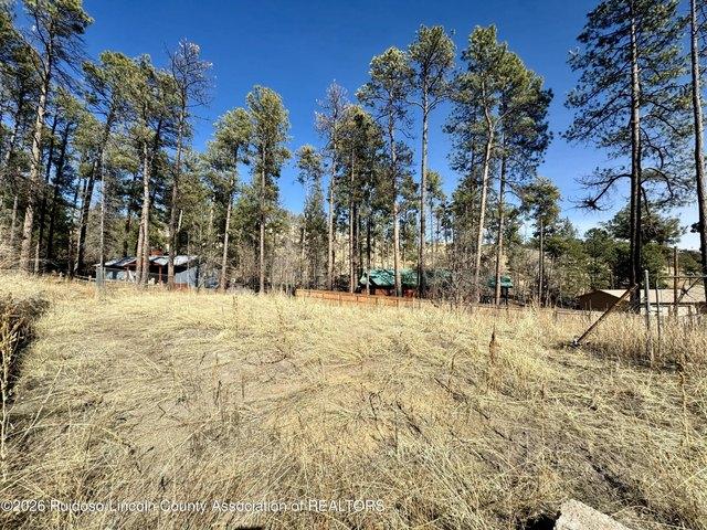 Land for sale in Alto, New Mexico