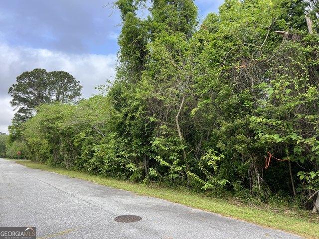 Land for sale in Georgia